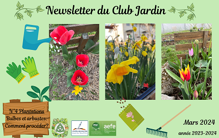 Lire la suite à propos de l’article Newsletter Club jardin