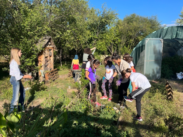 Lire la suite à propos de l’article Reprise des activités du club jardin